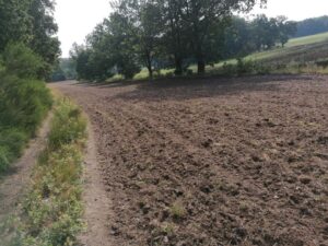 Ackerland, 2ha,zu verpachten, n. I. Bewirtschaftung, Grünbewuchs – Foto 2
