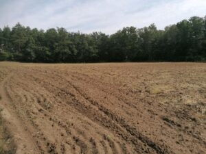 Ackerland, 2ha,zu verpachten, n. I. Bewirtschaftung, Grünbewuchs – Foto 3