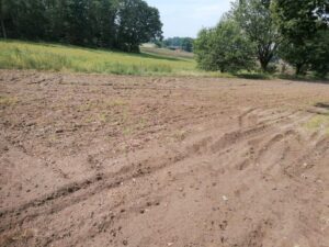 Ackerland, 2ha,zu verpachten, n. I. Bewirtschaftung, Grünbewuchs – Foto 5