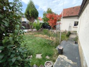 Klein Gartenfläche- Kelsterbach, Süd, Nähe Bahnhof zu verpachten. – Foto 5