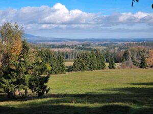 Baugrundstück im Oberharz zu verpachten – Foto 3