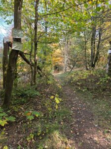 Baugrundstück im Oberharz zu verpachten – Foto 4