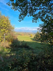 Baugrundstück im Oberharz zu verpachten – Foto 5
