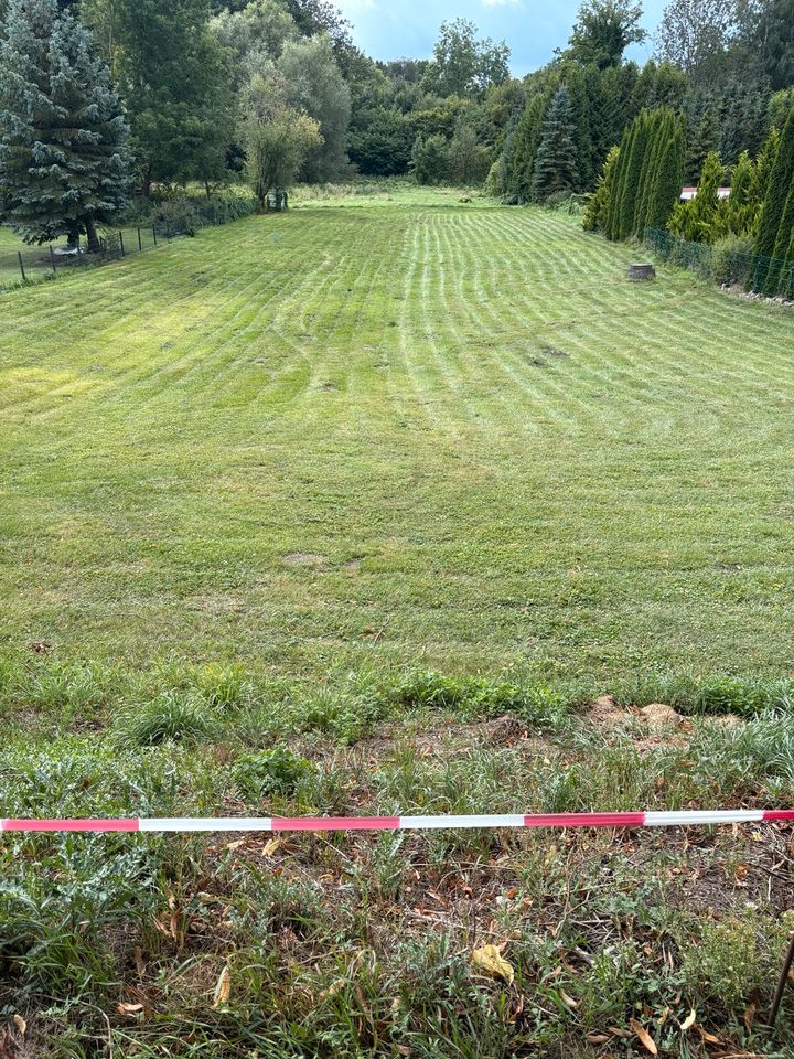 Grundstück ca. 2.000 m² in Dobbertin zu verpachten