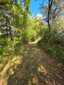 Naturwiese bei Schweinfurt zu verpachten – ein Ort für Ruhe, Frei – Foto 2