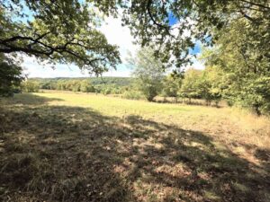 Naturwiese bei Schweinfurt zu verpachten – ein Ort für Ruhe, Frei – Foto 3