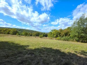 Naturwiese bei Schweinfurt zu verpachten – ein Ort für Ruhe, Frei – Foto 4