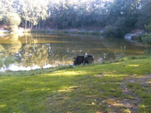 Angelpark zu verpachten – Foto 5