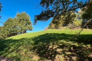 Wiese/Weide, 1 Ha, zu verpachten, ab sofort – Foto 2