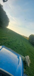 Grünland, Wiese, Weide zur Pacht – Foto 3