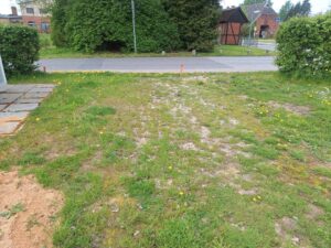 Dein Platz in Bülow ! Eckgrundstück zu verpachten - 1 € VB – Foto 4