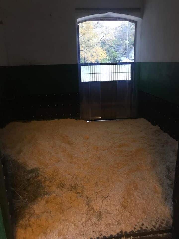 Reitanlage zu verpachten in Hockenheim
