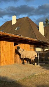 Reitanlage zu verpachten in Hockenheim – Foto 3