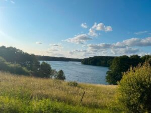 Verpachte Grundstück ca. 400m² Feldberger Seenlandschaft/Carwitz – Foto 2