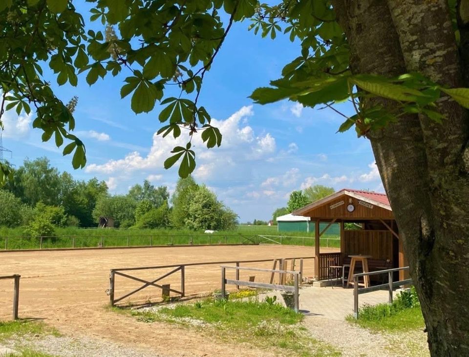 Stallplatz frei für Stute bis Endmaß zur gemeinsamen Pacht
