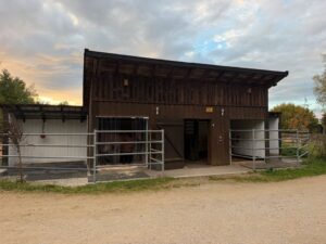Stallplatz frei für Stute bis Endmaß zur gemeinsamen Pacht – Foto 2