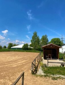 Stallplatz frei für Stute bis Endmaß zur gemeinsamen Pacht – Foto 3