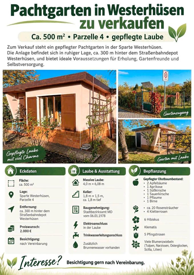 Gepflegter Pachtgarten
