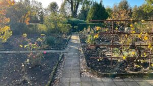 Gepflegter Pachtgarten – Foto 3