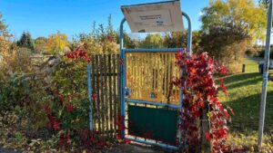 Gepflegter Pachtgarten – Foto 4