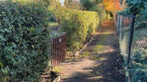 Gepflegter Pachtgarten – Foto 5